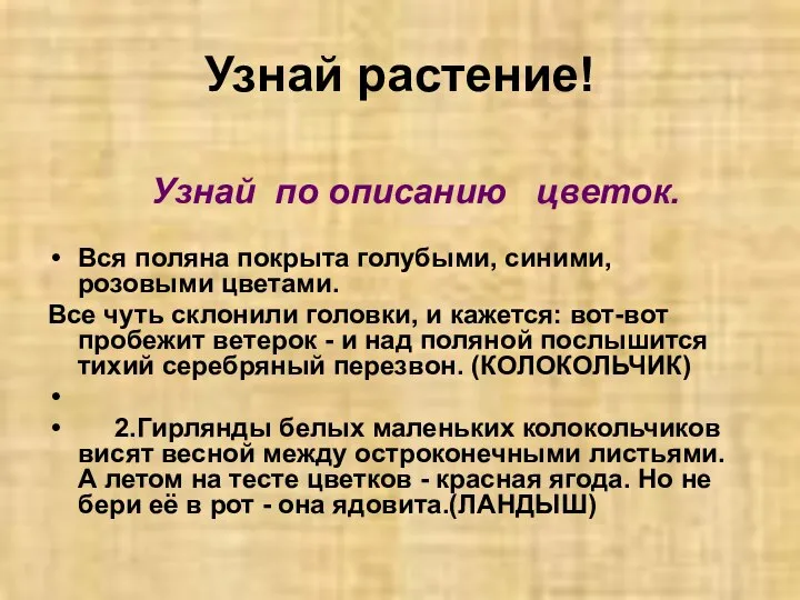 Узнай растение! Узнай по описанию цветок. Вся поляна покрыта голубыми, синими,