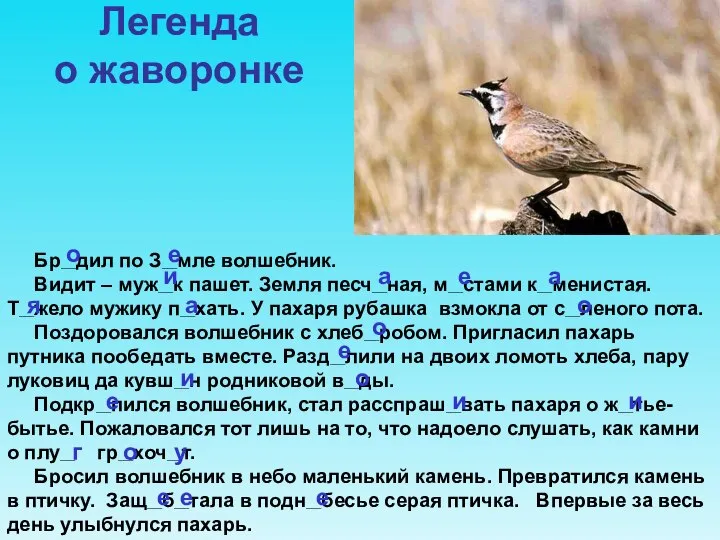 Бр___дил по З___мле волшебник. Видит – муж___к пашет. Земля песч___ная, м___стами