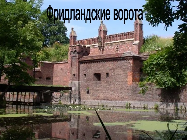 Фридландские ворота