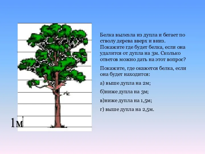 1м Белка вылезла из дупла и бегает по стволу дерева вверх