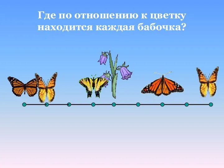 Где по отношению к цветку находится каждая бабочка?