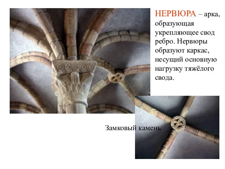 Замковый камень НЕРВЮРА – арка, образующая укрепляющее свод ребро. Нервюры образуют