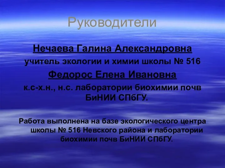 Руководители Нечаева Галина Александровна учитель экологии и химии школы № 516