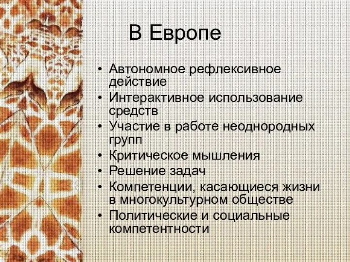 В Европе Автономное рефлексивное действие Интерактивное использование средств Участие в работе