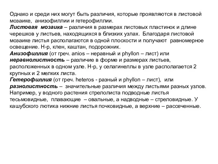 Однако и среди них могут быть различия, которые проявляются в листовой