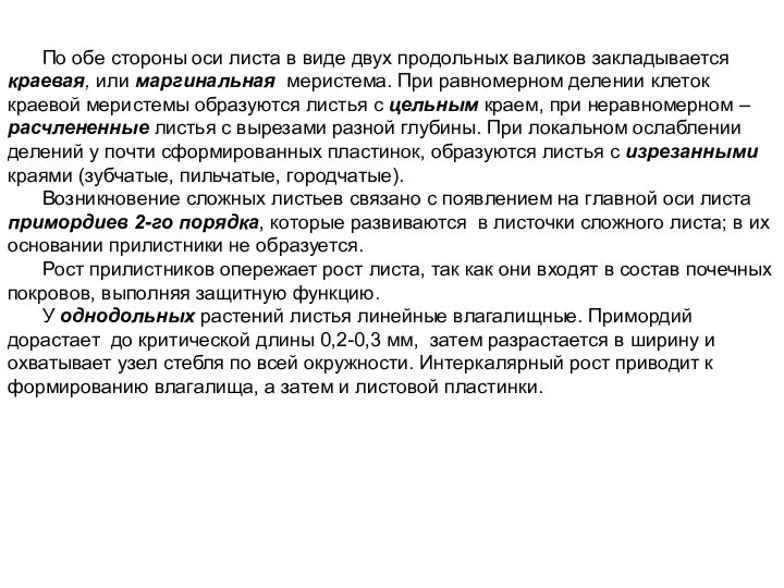 По обе стороны оси листа в виде двух продольных валиков закладывается