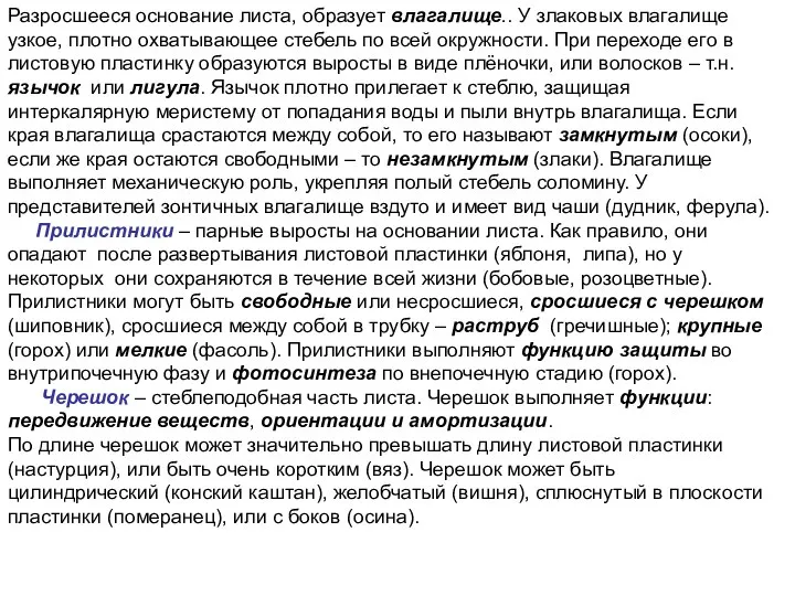 Разросшееся основание листа, образует влагалище.. У злаковых влагалище узкое, плотно охватывающее