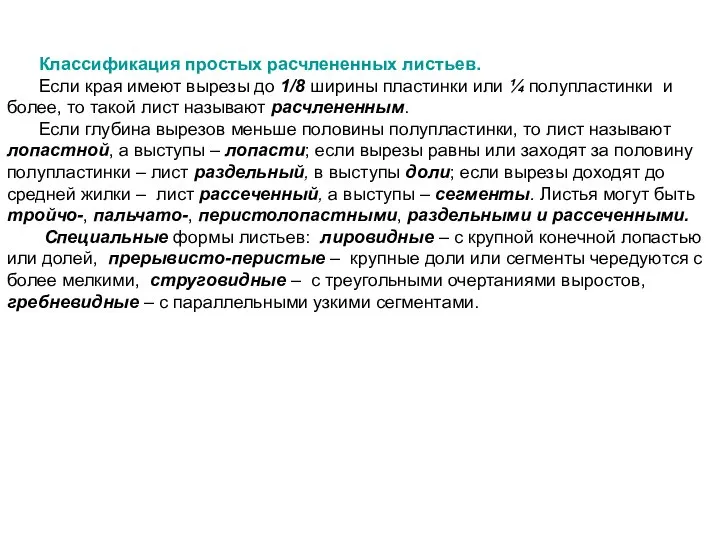 Классификация простых расчлененных листьев. Если края имеют вырезы до 1/8 ширины