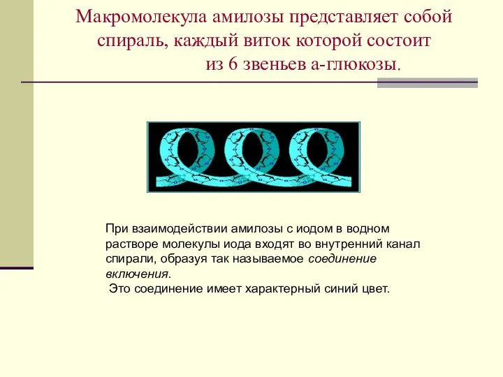 Макромолекула амилозы представляет собой спираль, каждый виток которой состоит из 6