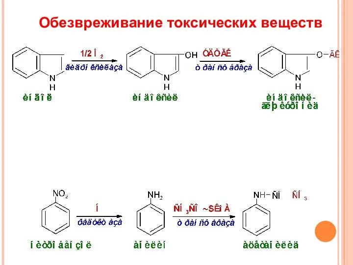 Обезвреживание токсических веществ