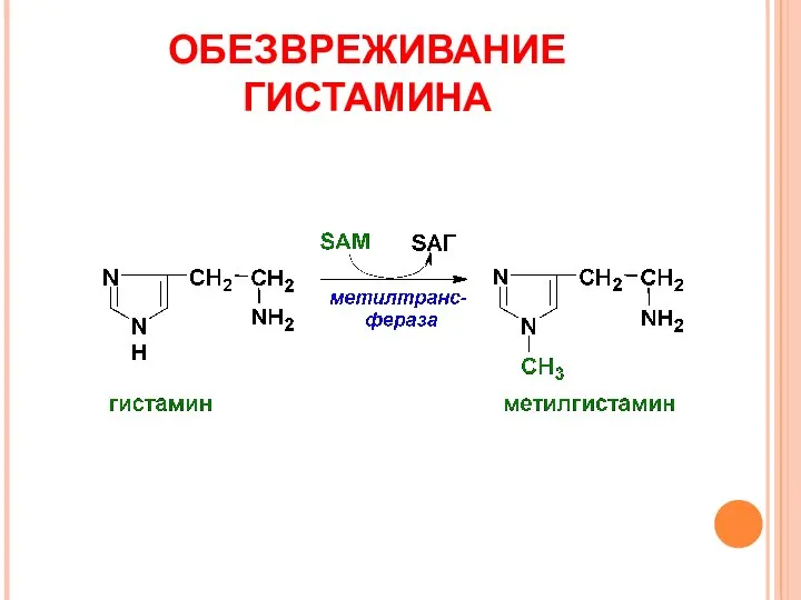 ОБЕЗВРЕЖИВАНИЕ ГИСТАМИНА