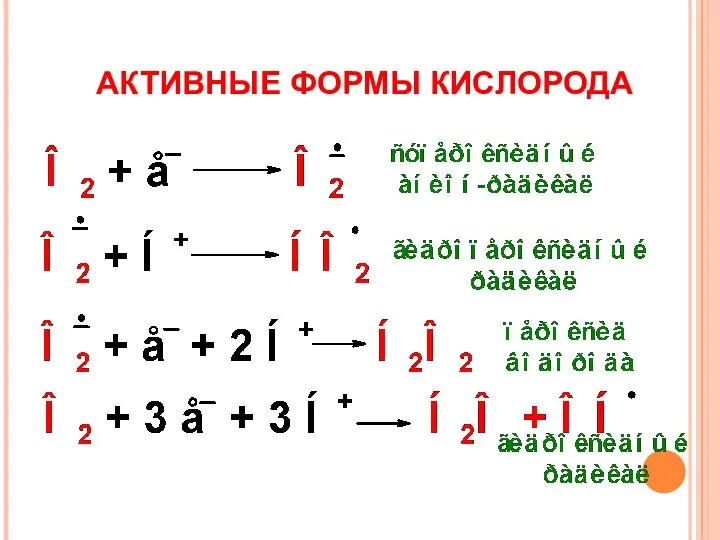 АКТИВНЫЕ ФОРМЫ КИСЛОРОДА