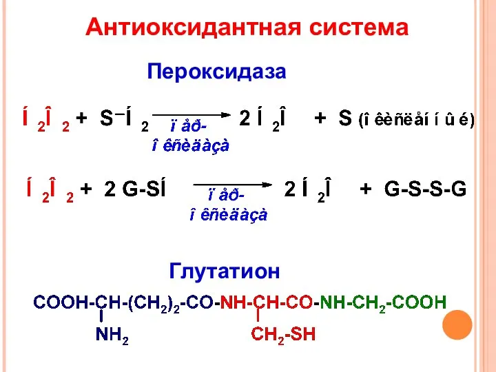 Антиоксидантная система Пероксидаза Глутатион