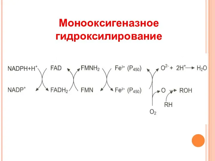 Монооксигеназное гидроксилирование