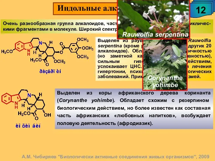 Индольные алкалоиды. 12 А.М. Чибиряев "Биологически активные соединения живых организмов", 2009