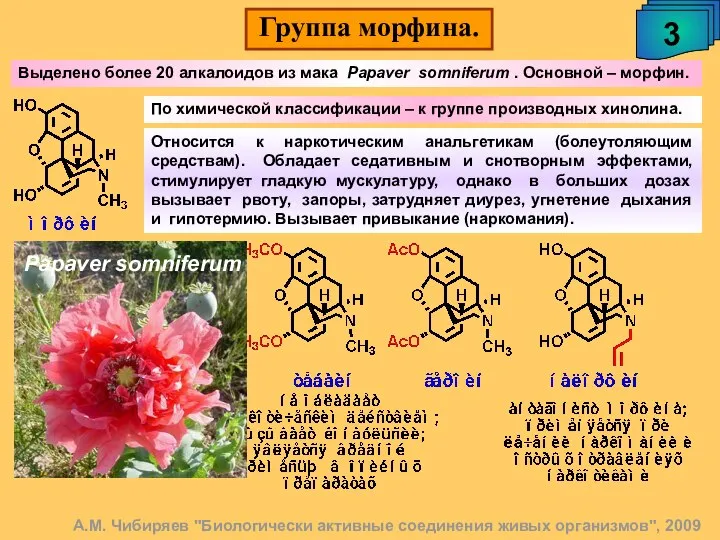 Группа морфина. 3 А.М. Чибиряев "Биологически активные соединения живых организмов", 2009