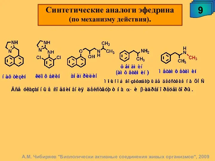 Синтетические аналоги эфедрина (по механизму действия). 9 А.М. Чибиряев "Биологически активные соединения живых организмов", 2009