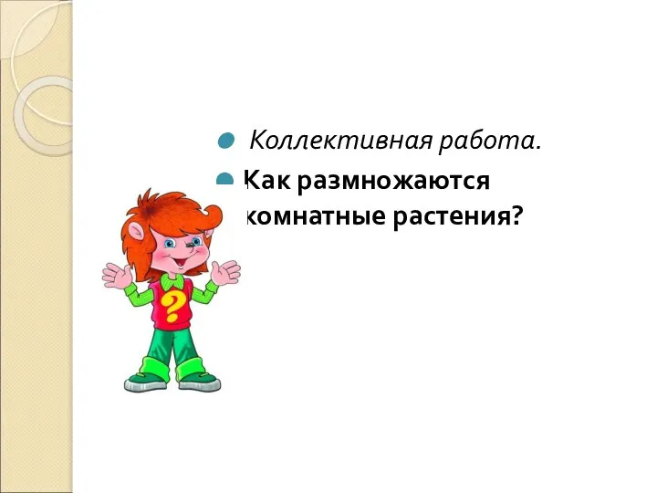 Коллективная работа. Как размножаются комнатные растения?