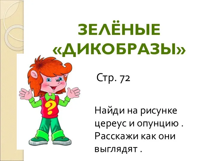 ЗЕЛЁНЫЕ «ДИКОБРАЗЫ» Стр. 72 Найди на рисунке цереус и опунцию . Расскажи как они выглядят .