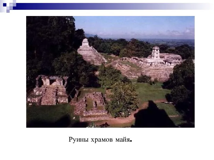 Руины храмов майя.