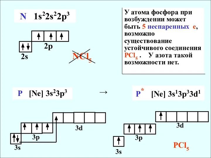 N 1s22s22p3 NCl5 P [Ne] 3s23p3 3s 3p 3d P* [Ne]