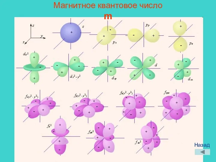 Магнитное квантовое число m Назад