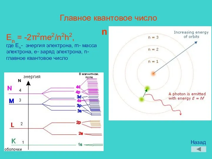 Главное квантовое число n En = -2π2me2/n2h2, где En- энергия электрона,