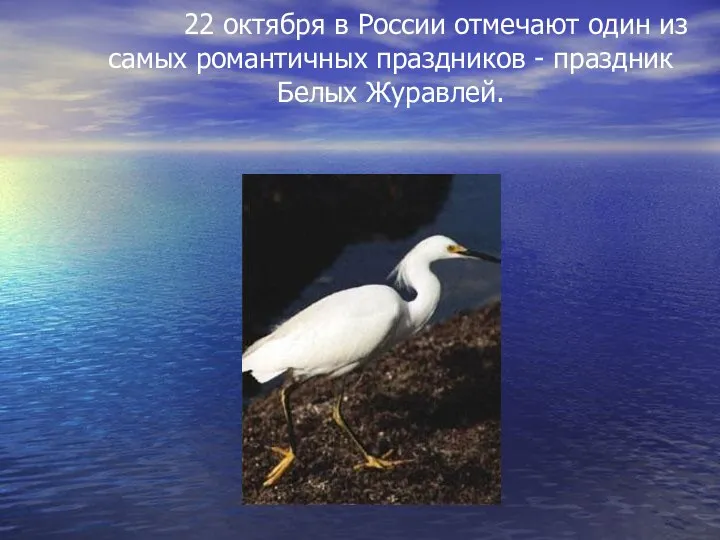 22 октября в России отмечают один из самых романтичных праздников - праздник Белых Журавлей.