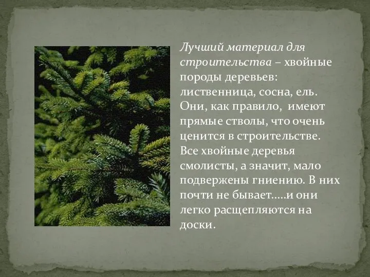 Лучший материал для строительства – хвойные породы деревьев: лиственница, сосна, ель.