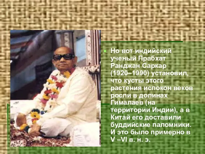 Но вот индийский ученый Прабхат Ранджан Саркар (1920–1990) установил, что кусты