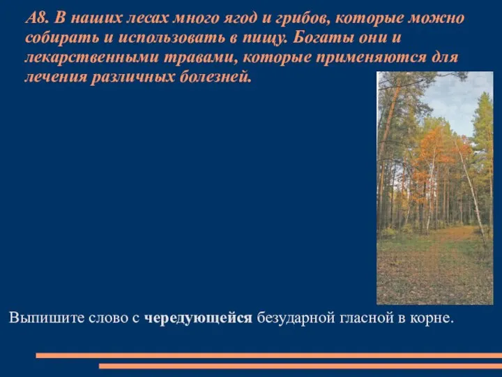 А8. В наших лесах много ягод и грибов, которые можно собирать