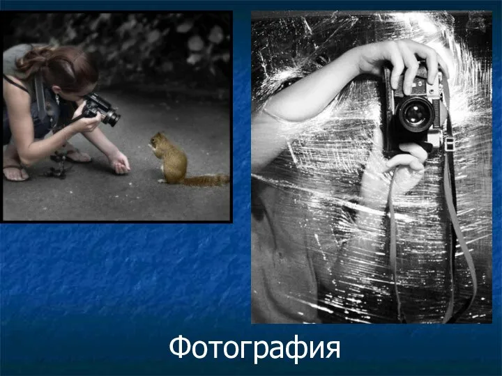 Фотография