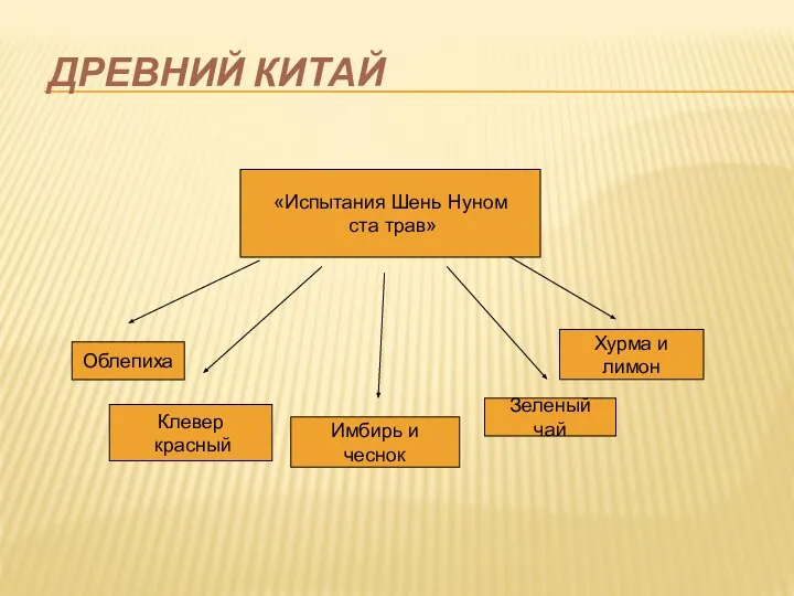 ДРЕВНИЙ КИТАЙ «Испытания Шень Нуном ста трав» Облепиха Клевер красный Хурма