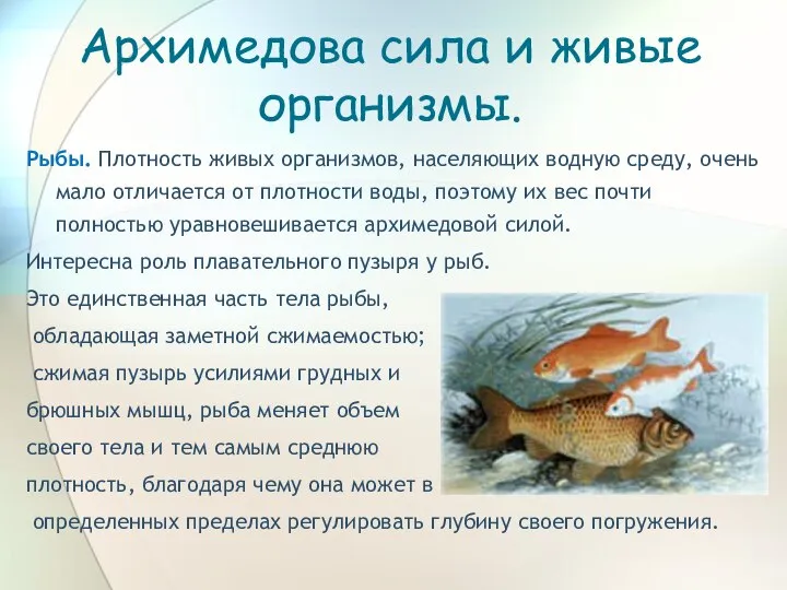 Архимедова сила и живые организмы. Рыбы. Плотность живых организмов, населяющих водную
