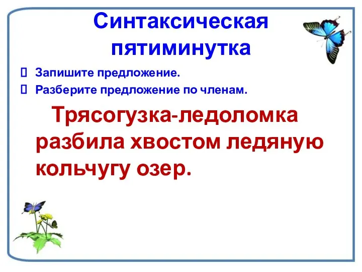 Синтаксическая пятиминутка Запишите предложение. Разберите предложение по членам. Трясогузка-ледоломка разбила хвостом ледяную кольчугу озер.