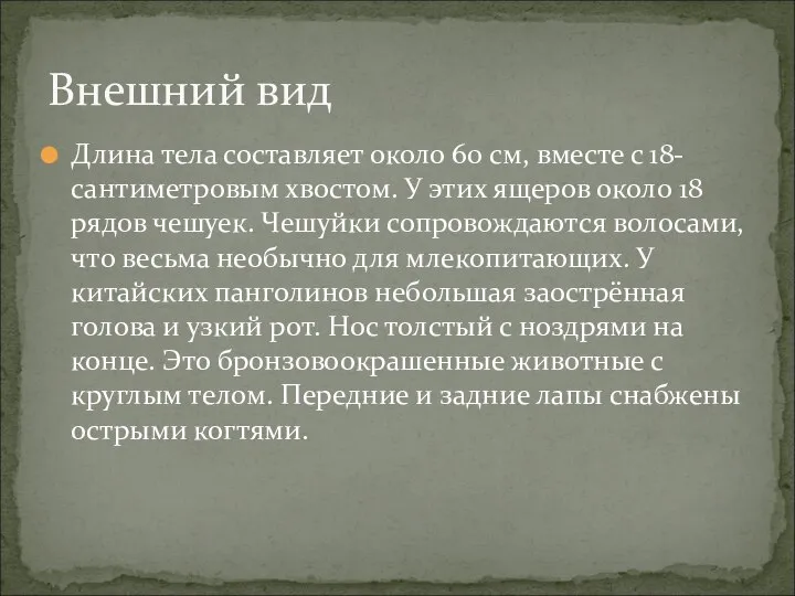 Длина тела составляет около 60 см, вместе с 18-сантиметровым хвостом. У