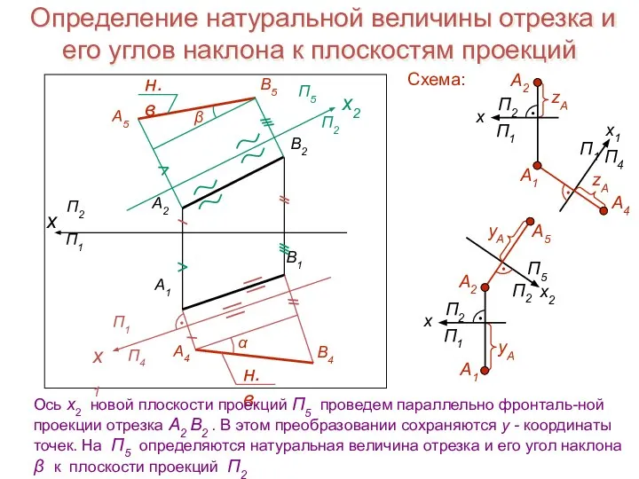 Определение натуральной величины отрезка и его углов наклона к плоскостям проекций