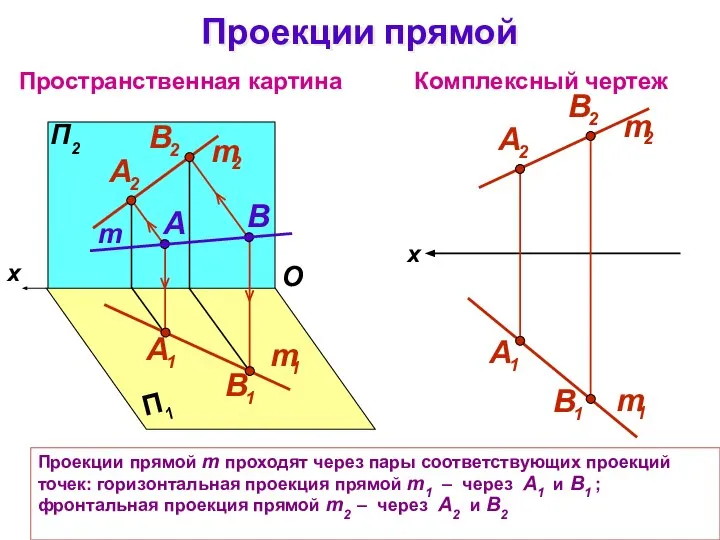 Проекции прямой m проходят через пары соответствующих проекций точек: горизонтальная проекция