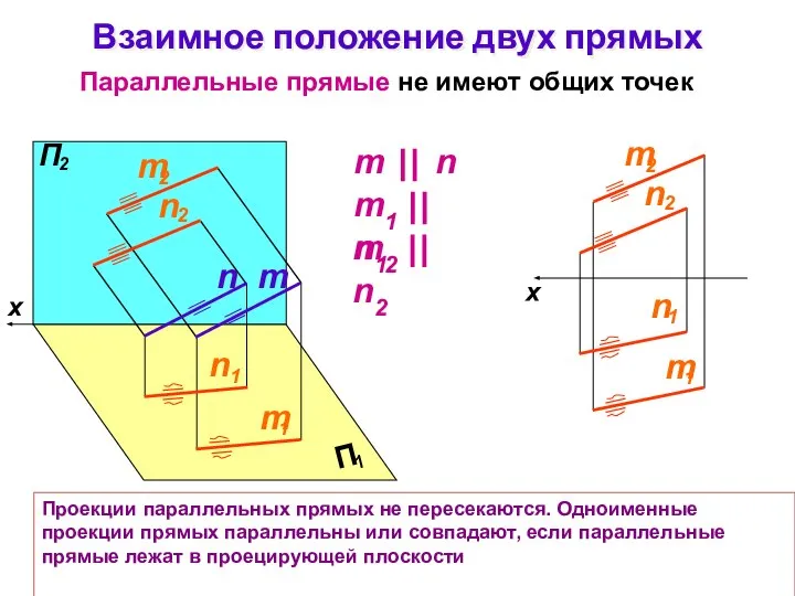 Взаимное положение двух прямых Параллельные прямые не имеют общих точек Проекции