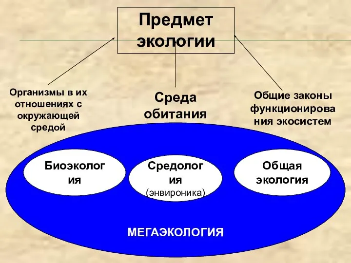 МЕГАЭКОЛОГИЯ Предмет экологии Организмы в их отношениях с окружающей средой Среда