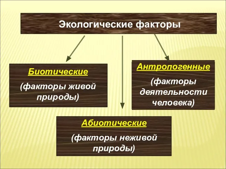 Экологические факторы Биотические (факторы живой природы) Абиотические (факторы неживой природы) Антропогенные (факторы деятельности человека)