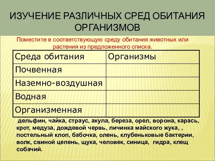 ИЗУЧЕНИЕ РАЗЛИЧНЫХ СРЕД ОБИТАНИЯ ОРГАНИЗМОВ дельфин, чайка, страус, акула, береза, орел,