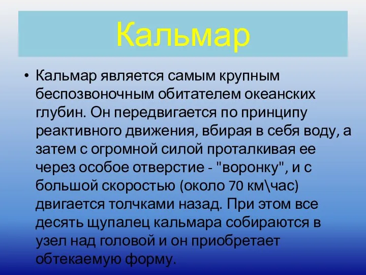 Кальмар Кальмар является самым крупным беспозвоночным обитателем океанских глубин. Он передвигается