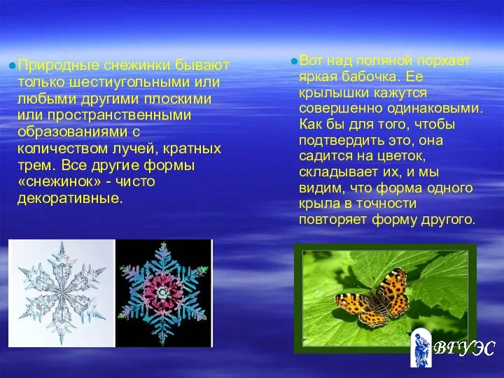 Природные снежинки бывают только шестиугольными или любыми другими плоскими или пространственными