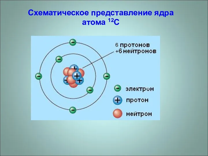 Схематическое представление ядра атома 12C