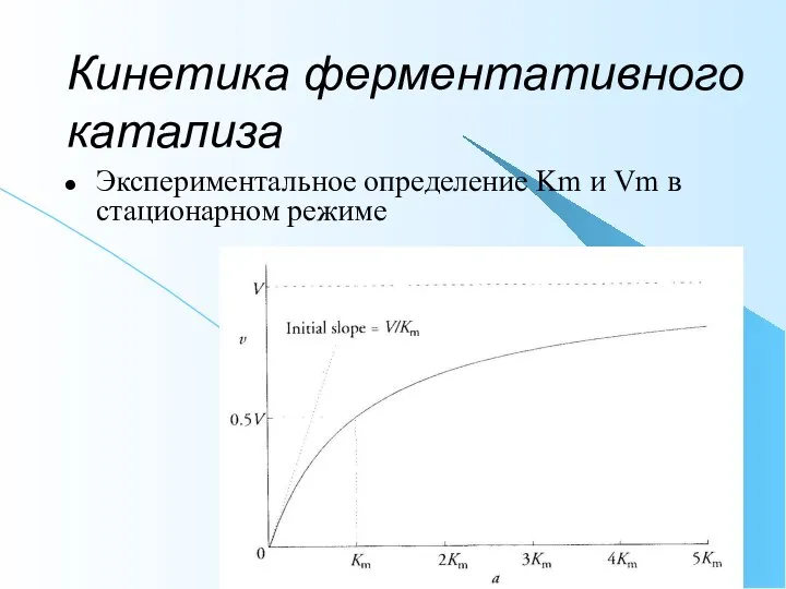 Кинетика ферментативного катализа Экспериментальное определение Km и Vm в стационарном режиме