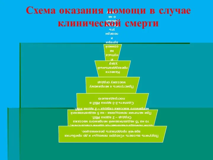 Схема оказания помощи в случае клинической смерти