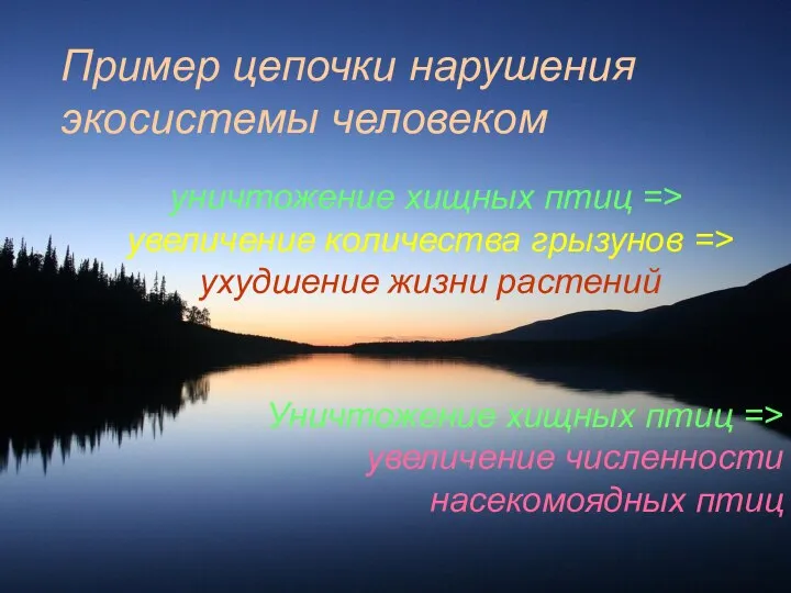 Пример цепочки нарушения экосистемы человеком уничтожение хищных птиц => увеличение количества