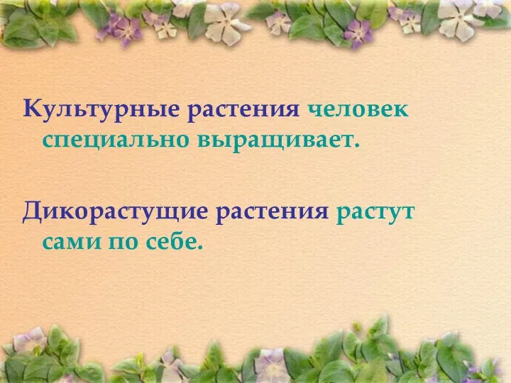 Культурные растения человек специально выращивает. Дикорастущие растения растут сами по себе. Вывод: