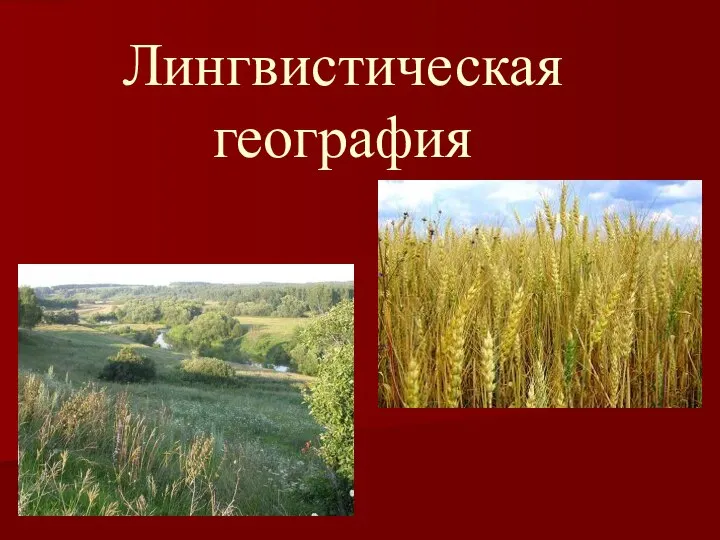 Лингвистическая география